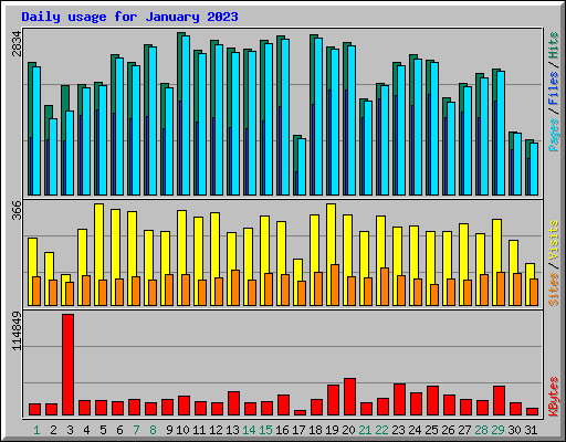 Daily usage for January 2023