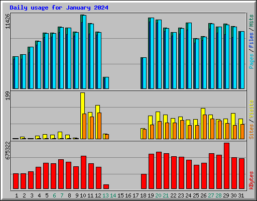 Daily usage for January 2024