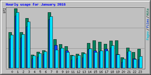 Hourly usage for January 2016