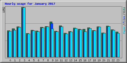 Hourly usage for January 2017