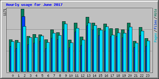 Hourly usage for June 2017