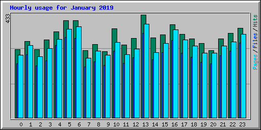 Hourly usage for January 2019