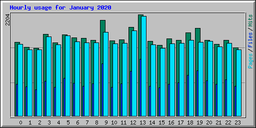 Hourly usage for January 2020