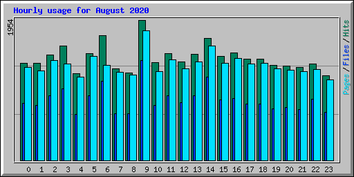 Hourly usage for August 2020