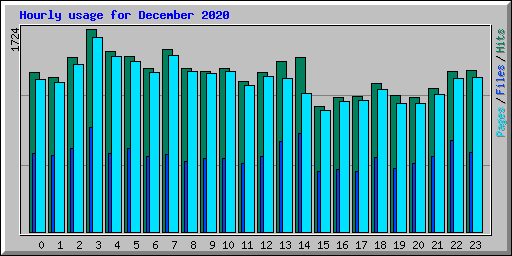 Hourly usage for December 2020