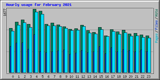 Hourly usage for February 2021