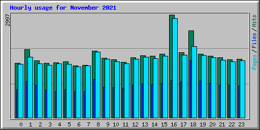 Hourly usage for November 2021