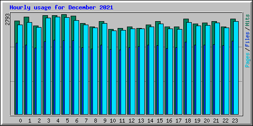 Hourly usage for December 2021