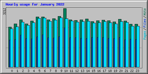 Hourly usage for January 2022