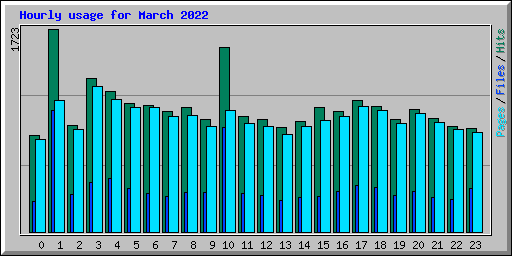 Hourly usage for March 2022