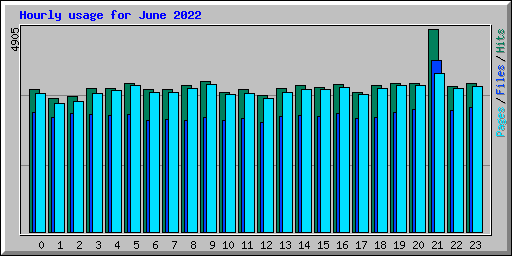 Hourly usage for June 2022