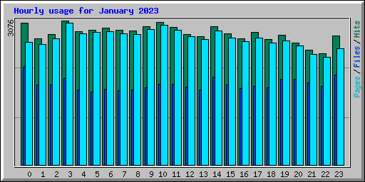Hourly usage for January 2023