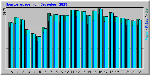 Hourly usage for December 2023