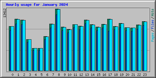 Hourly usage for January 2024