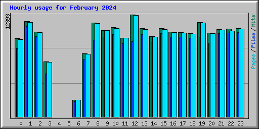 Hourly usage for February 2024