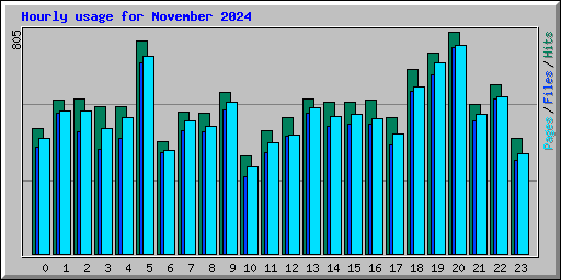 Hourly usage for November 2024