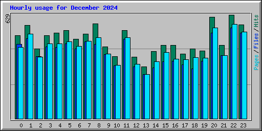 Hourly usage for December 2024