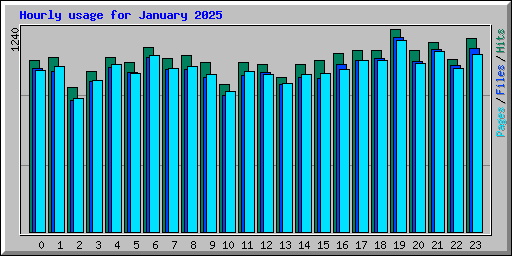 Hourly usage for January 2025