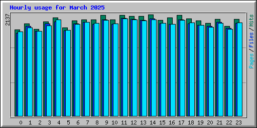 Hourly usage for March 2025