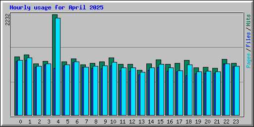 Hourly usage for April 2025