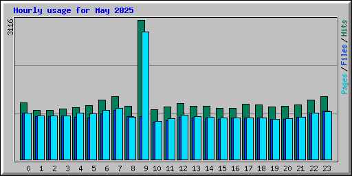Hourly usage for May 2025