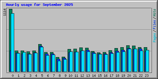 Hourly usage for September 2025