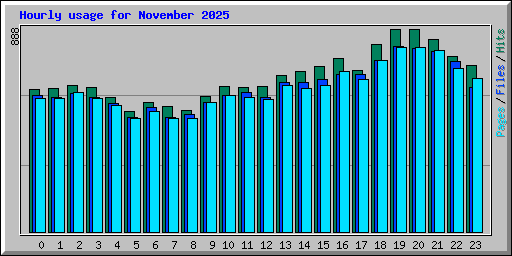 Hourly usage for November 2025