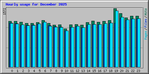 Hourly usage for December 2025