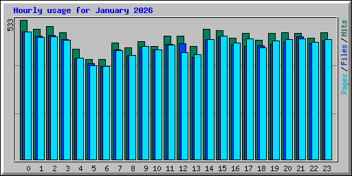 Hourly usage for January 2026