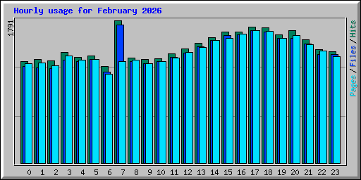 Hourly usage for February 2026