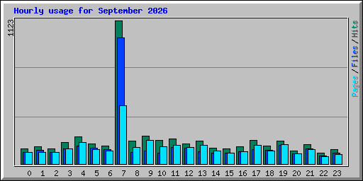 Hourly usage for September 2026